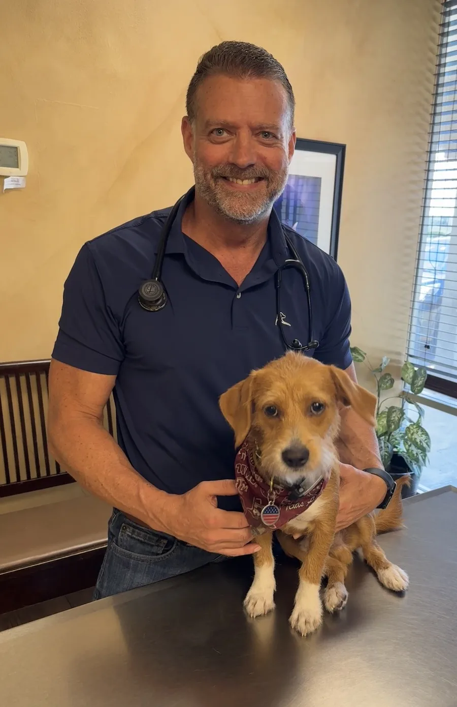 Dr. Steve Pelton, DVM - Lead Veterinarian at Hearthstone Animal Clinic