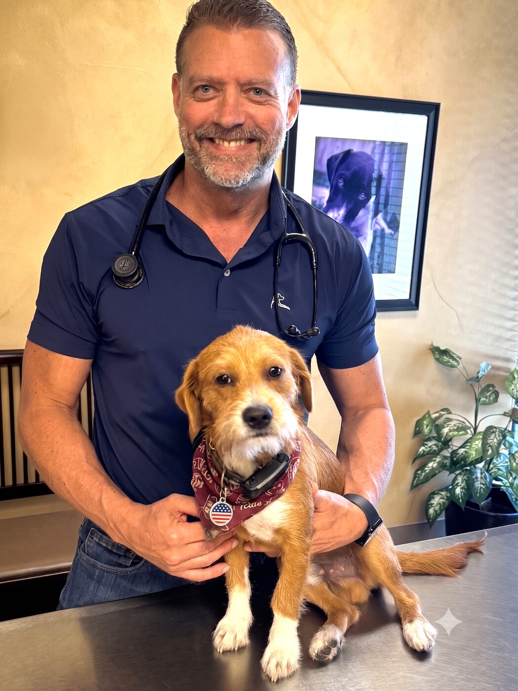 Dr. Pelton holding Copper, a rescue pup, at Hearthstone Animal Clinic