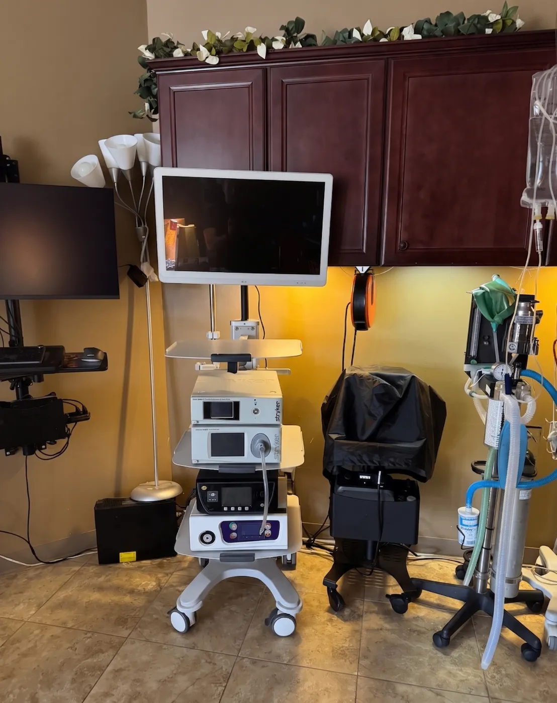 Stryker laparoscopic surgical tower used for laparoscopic spay procedures at Hearthstone Animal Clinic in Cypress, TX