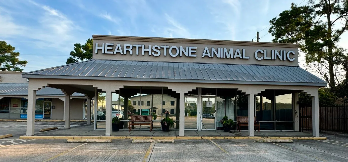 Interior of Hearthstone Animal Clinic in Cypress, TX, a clean modern veterinary facility