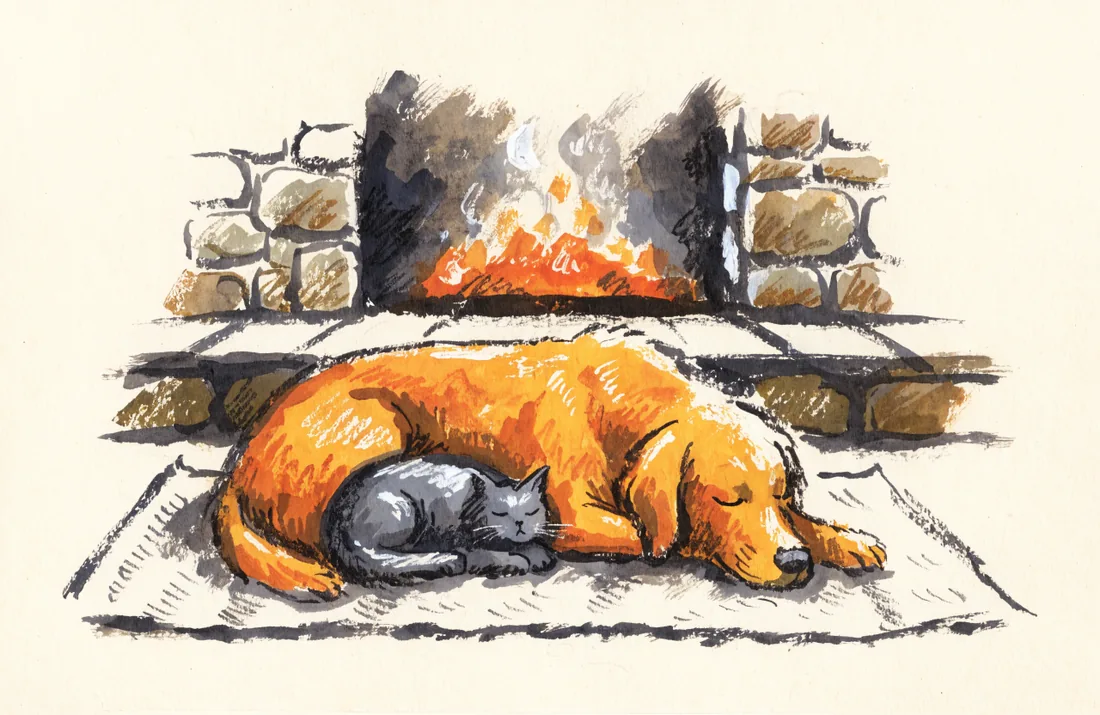 A golden retriever and a gray cat sleeping together in front of a stone fireplace