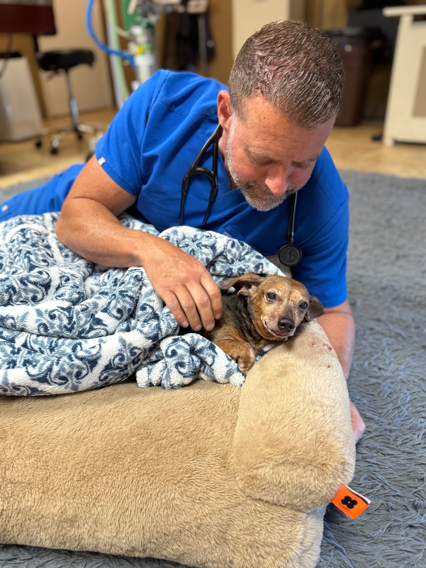Dr. Pelton providing gentle, compassionate care