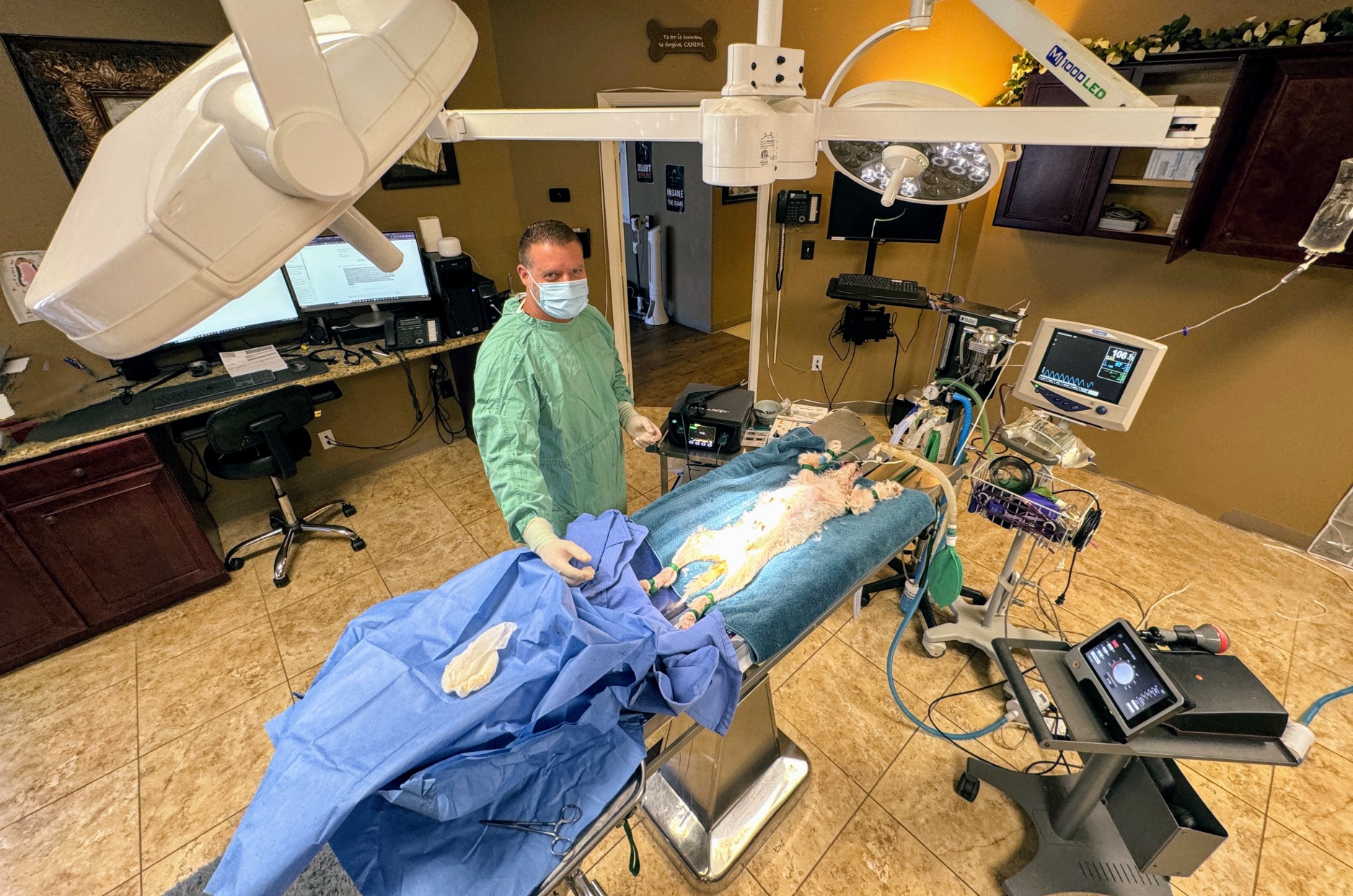 Dr. Pelton performing surgery in our surgical suite
