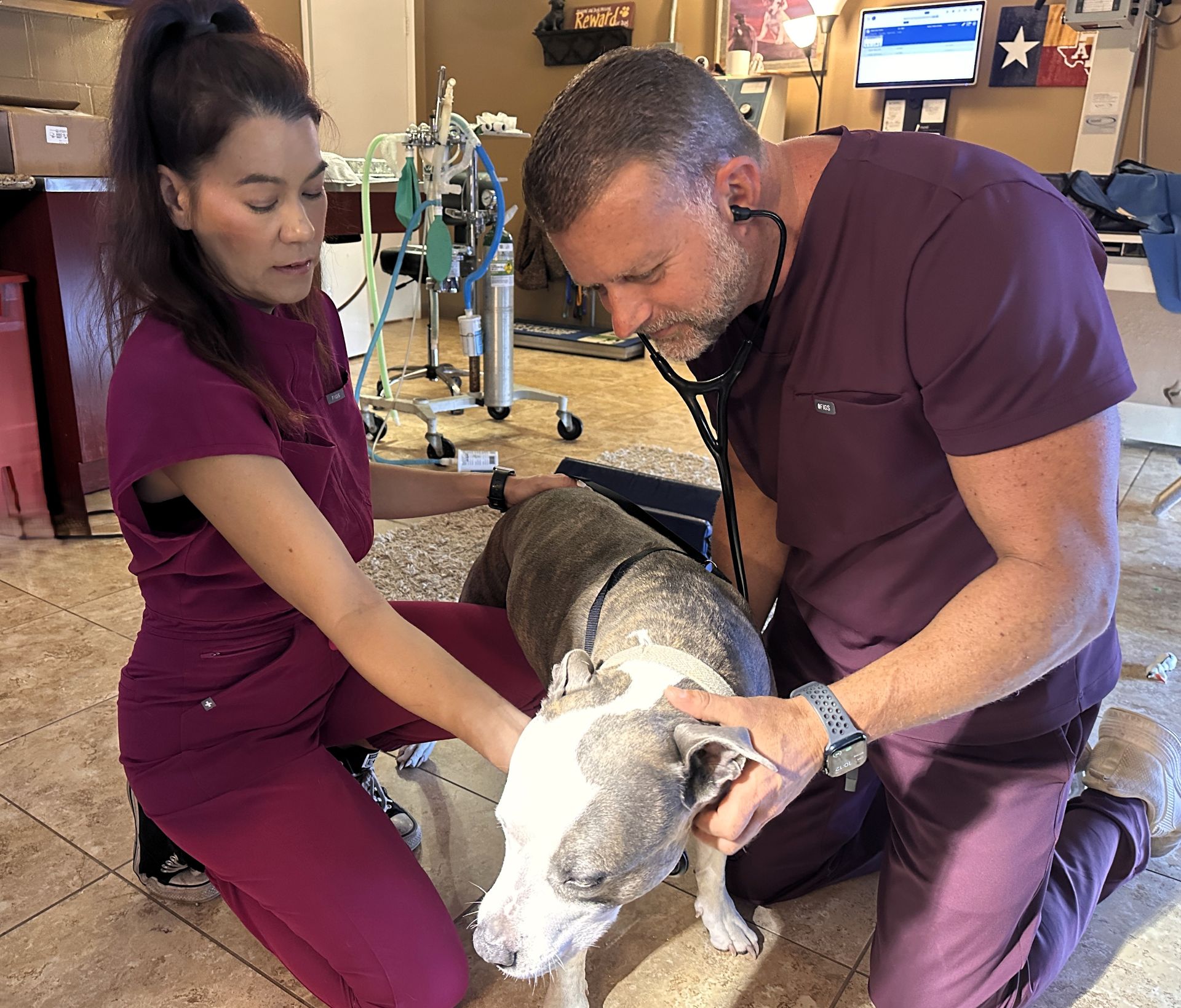Dr. Pelton and a veterinary technician providing compassionate care