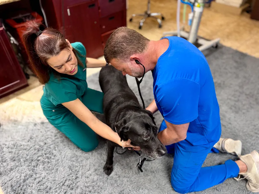 Dr. Pelton and a veterinary assistant examining a dog during a drop-off appointment