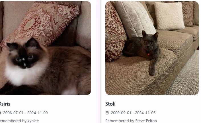 Pet memorial gallery examples